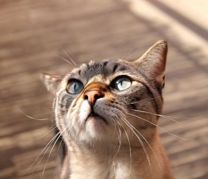 ImageUploadedByTapatalk 21376231691.742898.jpg