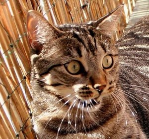 ImageUploadedByTapatalk 21376231711.542587.jpg