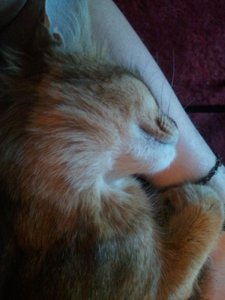 2013-07-18 07.24.11.jpg