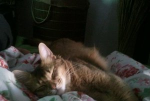 2013-07-19 17.21.45-1.jpg