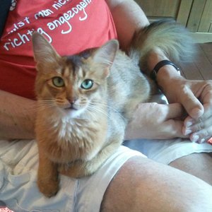 2013-08-04 17.40.58-1.jpg