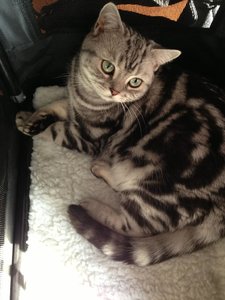 ImageUploadedByTapatalk 21376236907.974021.jpg