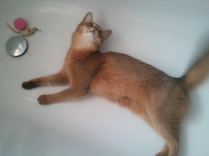 2013-07-17 19.41.58.jpg