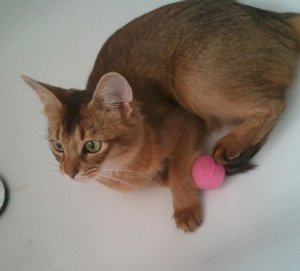 2013-07-17 19.43.00-1.jpg