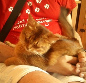 2013-08-04 17.42.31-1.jpg