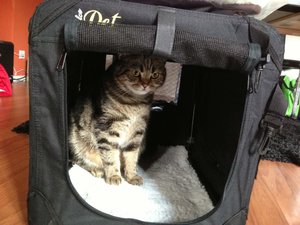 ImageUploadedByTapatalk 21376241562.953395.jpg