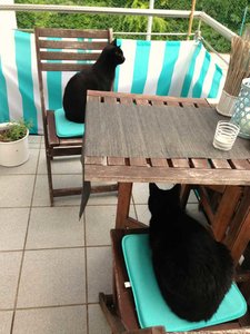 ImageUploadedByTapatalk 21376244018.042404.jpg