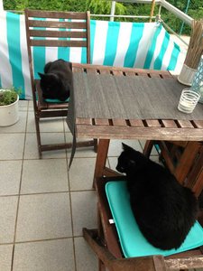 ImageUploadedByTapatalk 21376244037.641761.jpg