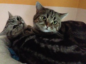 2013-08-10 16.13.40.jpg