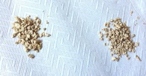 ImageUploadedByTapatalk 21376328754.389830.jpg