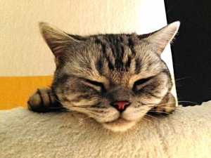 ImageUploadedByTapatalk 21376469107.778604.jpg