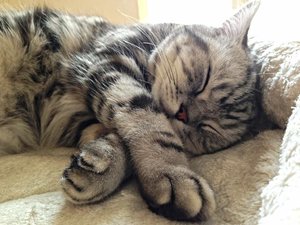 ImageUploadedByTapatalk 21376469553.478935.jpg