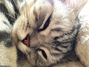 ImageUploadedByTapatalk 21376469652.459214.jpg