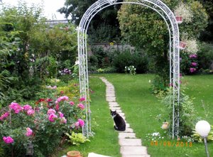 IMGP2692 (1024x752).jpg