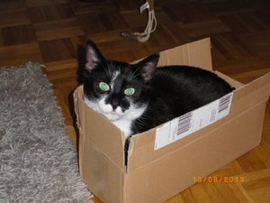 IMGP2713 (1024x768).jpg