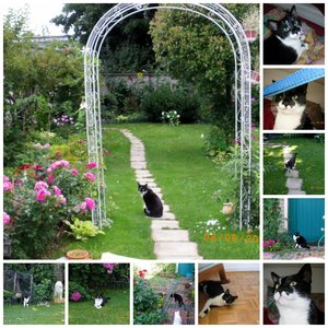 PicMonkey Collage.jpg