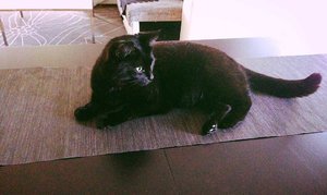 ImageUploadedByTapatalk 21376588848.509786.jpg