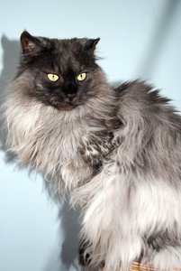 Donna mit 6,5 Jahren.jpg