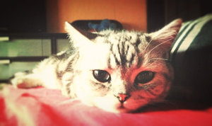 ImageUploadedByTapatalk 21376680361.647583.jpg