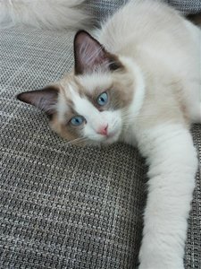 20130713_140914 (Medium).jpg