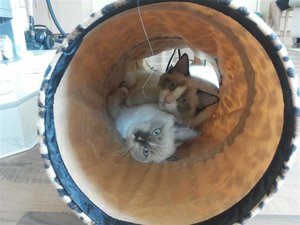 20130812_123439 (Medium).jpg