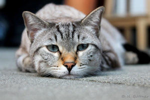 ImageUploadedByTapatalk 21376763912.599024.jpg