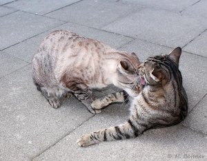 ImageUploadedByTapatalk 21376763922.382445.jpg