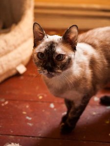 Kopie von _DSC0223-19.JPG