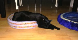 ImageUploadedByTapatalk 21376858394.923488.jpg