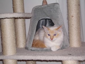 19.08.13 Unser erster Geburtstag.jpg