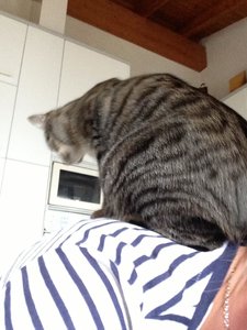 ImageUploadedByTapatalk 21376925599.920830.jpg