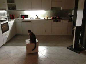 ImageUploadedByTapatalk 21376939180.166698.jpg