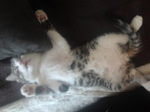 2013-07-08 11.58.22.jpg