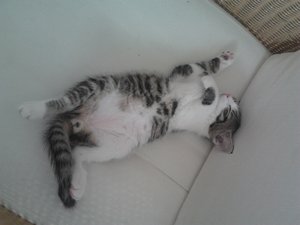 2013-07-16 17.48.43.jpg