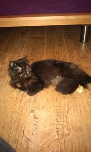 2013-08-21 15.49.44.jpg