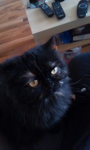 2013-08-21 15.49.40.jpg