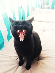 ImageUploadedByTapatalk 21377190983.014707.jpg