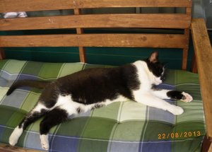 IMGP2807 (1024x732).jpg