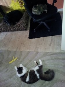 comp_2013-08-22 10.49.38.jpg