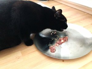 ImageUploadedByTapatalk 21377423854.745235.jpg