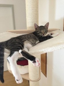 ImageUploadedByTapatalk1377502053.095391.jpg ImageUploadedByTapatalk1377502053.095391.jpg