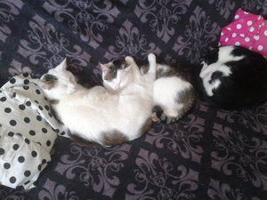 2013-04-20 15.16.58.jpg