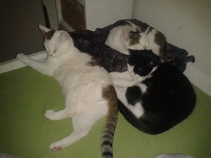 2013-07-16 01.01.19.jpg