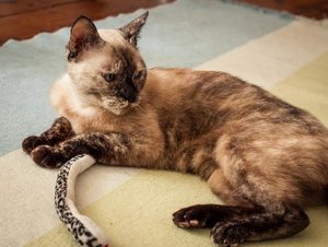 Kopie von _DSC0347-3.JPG