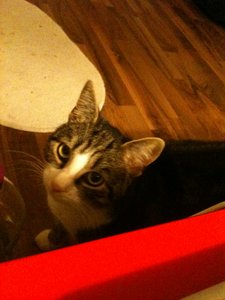 2013-08-27 00.12.10.jpg