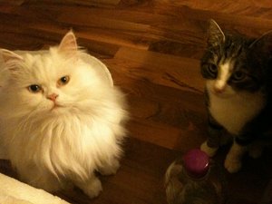 2013-08-27 00.13.28.jpg