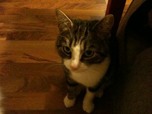 2013-08-27 00.13.36.jpg