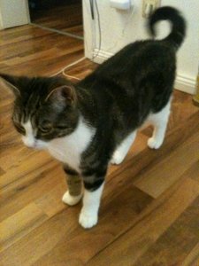 2013-08-27 00.16.03.jpg