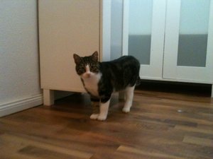 2013-08-27 00.17.18.jpg