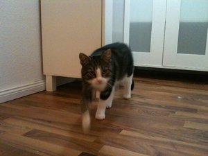 2013-08-27 00.17.20.jpg